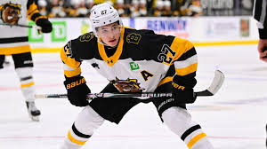 Caleb Malhotra drafted by Vancouver Canucks