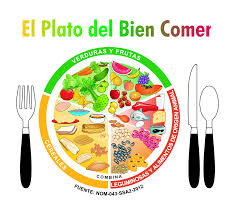 Resultado de imagen para plato del buen comer niños