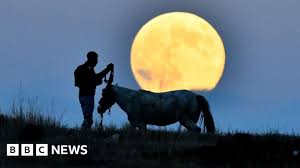 The Beaver Supermoon and Meteor Showers Light Up the November Sky
