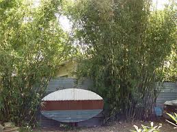 Image result for weird museum buildings