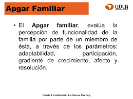 Resultado de imagen para apgar familiar puntaje