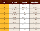 Baby Shoe Sizes for Baby Paws from to Months