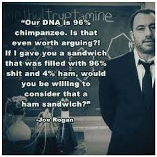 Joe Rogan Quote | Resurrect common sense or just get a clue ... via Relatably.com