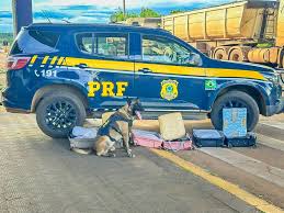 PRF apreende mais de 21 kg de cocaína em três ocorrências durante fiscalizações na BR-364 em Mato Grosso