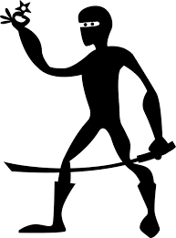 Hasil gambar untuk ninja