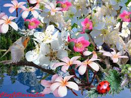 Resultado de imagen de images de printemps gratuites