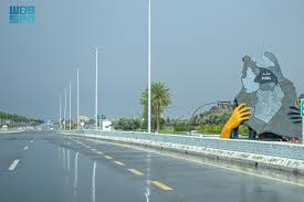 عام / أمطار على منطقة حائل