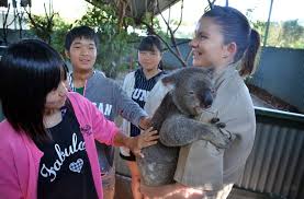 Japanese students thrilled by Billabong visit | Port Macquarie News via Relatably.com