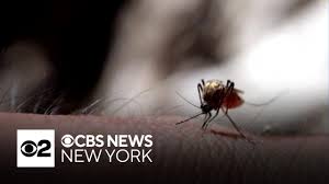 News source: CBS News