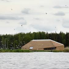 Image result for Bird watchers