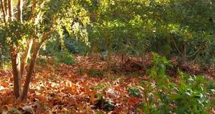 Резултат с изображение за идва първи април ден на шегата