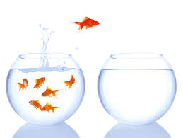 Image result for change