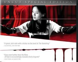 Gambar Poster Film Audition (1999)