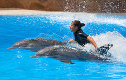 Resultado de imagen de imagenes de loro parque