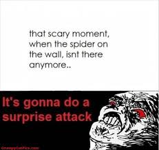 That Scary Moment Spider Funny Quote - Really Funny Meme Comics ... via Relatably.com