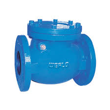 Cast Iron Check Valve - Flanged PN16 - Bronze Seat ...