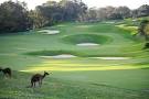 Perth australia golf courses