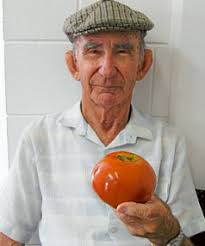 BIG RED: Frank Morey with his giant tomato, weighing more than half a kilogram. - 3289657