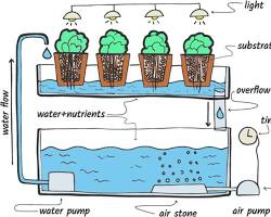 Imagen de Ebb and flow hydroponic system
