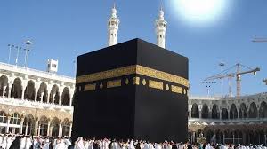 صحيفة عاجل - News update