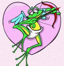 R�sultat de recherche d'images pour "image humoristique grenouille"