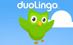 Bildresultat för duolingo