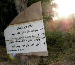 توی این پست هرچی بخوای هست از ترول گرفته تا عکس های خنده دار 1