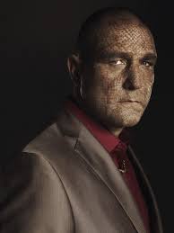 British actor and former footballer Vinnie Jones was drunk when he met Queen Elizabeth II - cape-vinnie-jones-1838738383