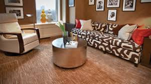 Carpet Cleaning in Pickney