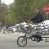 Metal sculpture trikes turning heads in Toledo