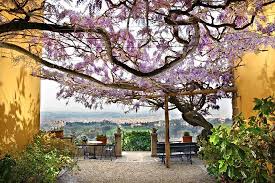 Image result for Pensione Florence Italy