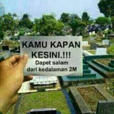 Hasil gambar untuk pecinta alam indonesia