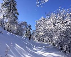 Image of Snowshoeing in Running Springs, California