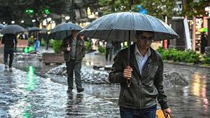 پیش‌بینی بارش باران بالای 100 میلیمتری در استان بوشهر