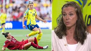 SVT Nyheter - News update
