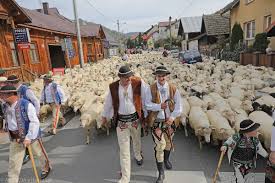 Zakopane.Wyborcza.pl - News update