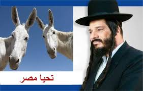 نتيجة بحث الصور عن السيسي