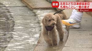 Yahoo!ニュース - News update