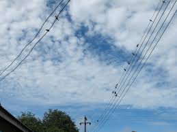 Image result for mendongak melihat langit