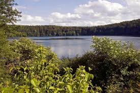 Picture of Pulvermaar