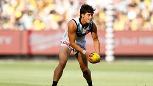 News source: afl.com.au