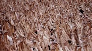 Image result for Hundreds Set To Strip For Hull Nude Photograph