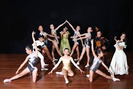 Image result for incolballet