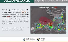 Gobierno Municipal de Acapulco - News update