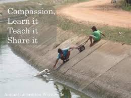 Image result for Pictures of compassion