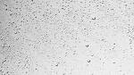 Immagini relative a wet glass