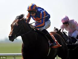 Image result for power irish 2000 guineas