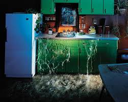 Redford Carpet Cleaning