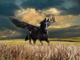 Image result for HORSE