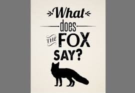 Top 21 powerful quotes about fox photograph Hindi | WishesTrumpet via Relatably.com